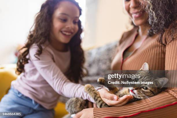 mom and daughter playing with their cat - family with pet stock pictures, royalty-free photos & images