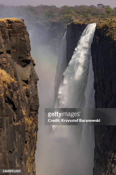 victoria falls with the rain forest - zambezi river stock pictures, royalty-free photos & images