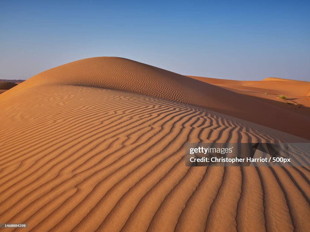 Scenic view of desert against clear sky,Wahiba Sands,Oman