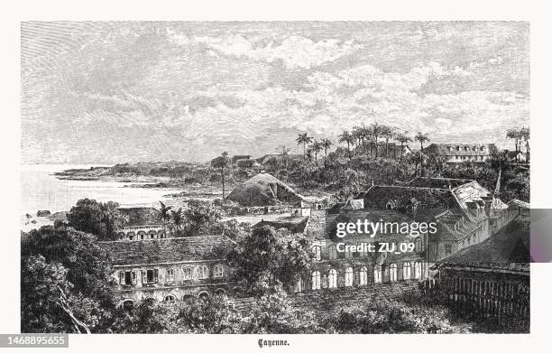 historical view of cayenne, french guiana, wood engraving, published 1899 - french guiana stock illustrations