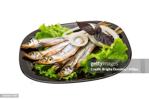 close-up of seafood in plate against white background,vaslui,romania - dried herring stock pictures, royalty-free photos & images