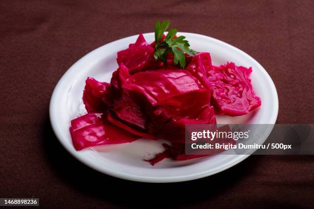 close-up of food in plate on table,vaslui,romania - pickle stock pictures, royalty-free photos & images