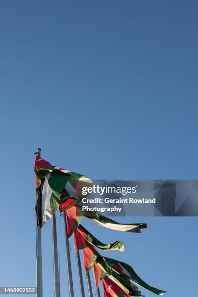 jordanian flags, amman - tutte le bandiere del medio oriente foto e immagini stock