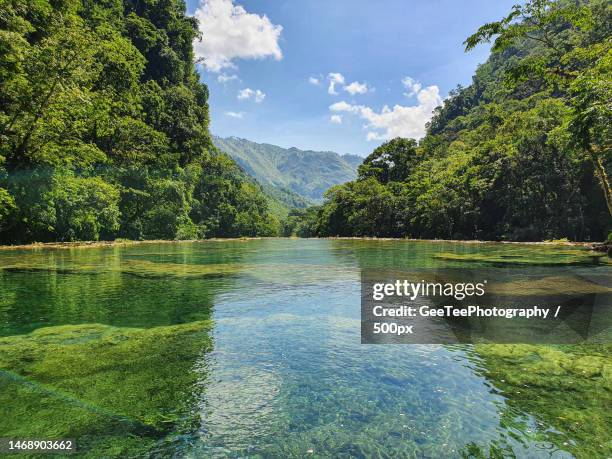 scenic view of lake in forest against sky,guatemala - guatemala stock pictures, royalty-free photos & images