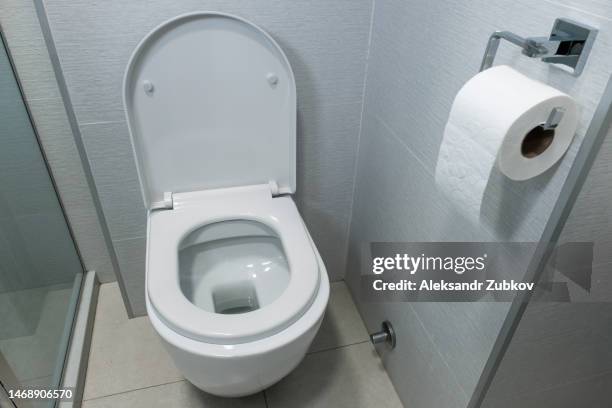 new ceramic toilet bowl in a modern bathroom. white clean, soft toilet paper hanging on the toilet paper holder. the concept of personal hygiene. - toilet bowl bathroom stock pictures, royalty-free photos & images