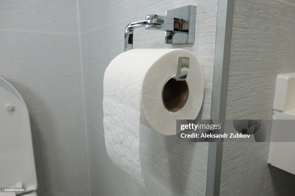 New ceramic toilet bowl in a modern bathroom. White clean, soft toilet paper hanging on the toilet paper holder. The concept of personal hygiene.