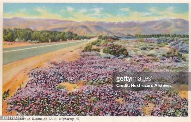 Vintage souvenir postcard published in 1940 as part of the 'California Highways' series, depicting the popular tourist destination and natural...