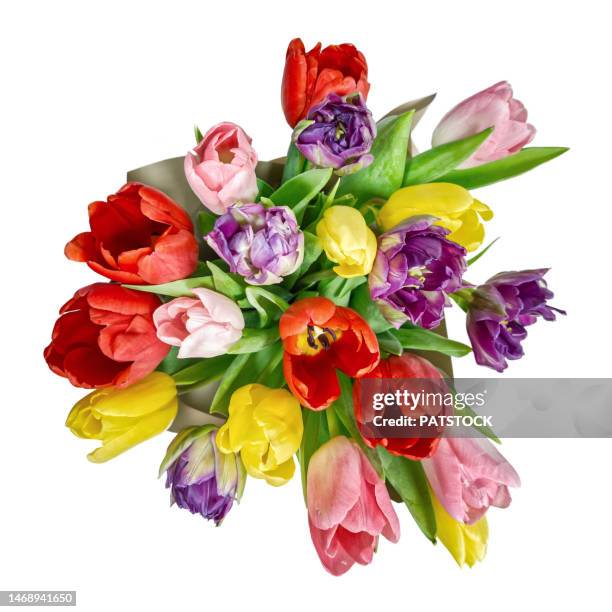 bouquet of colorful tulips - bukett bildbanksfoton och bilder