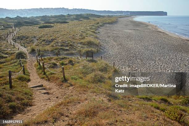 sand path through the dunes at san bou beach, cami de cavalls, menorca, balearic islands, spain - cavalls stock pictures, royalty-free photos & images