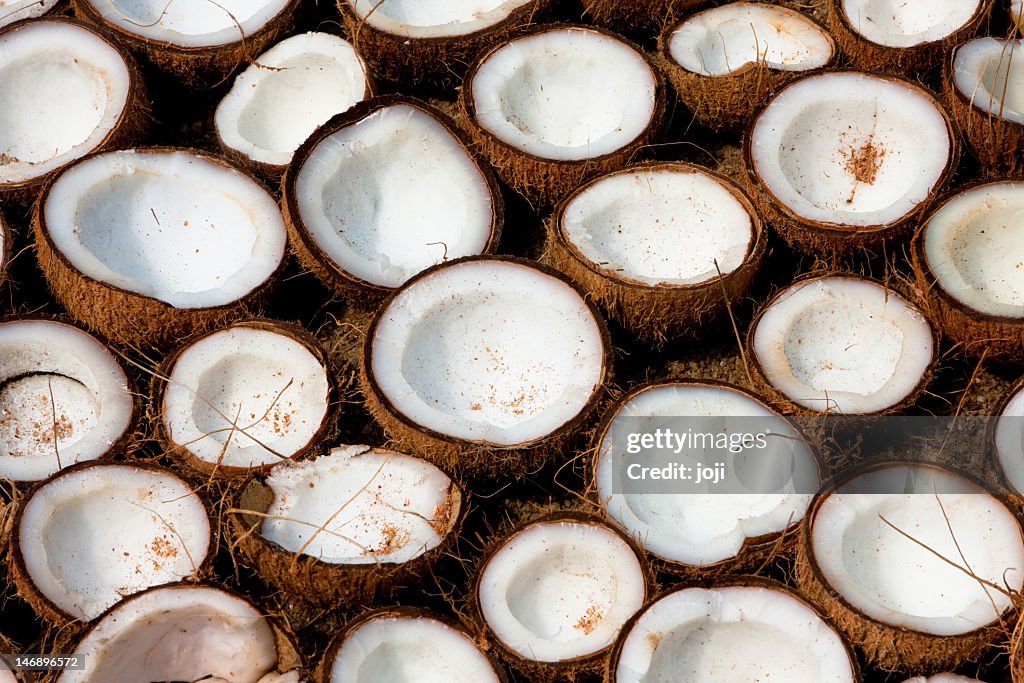 Le Coconuts séchage rapide au soleil