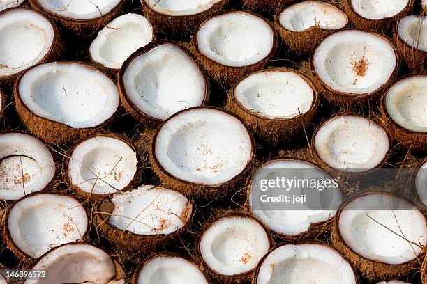 coconuts drying in the sun - coconut oil 個照片及圖片檔