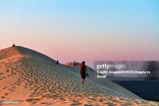 hikers, tourists on hiking dune enjoying sunset, dune du pilat, dune near arcachon, gironde, aquitaine, south of france, france - duna de pilat fotografías e imágenes de stock