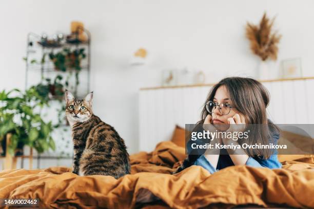 teenage girl with brown curly hair sits on sofa, wrapped in blanket, smiles sweetly, hugs beloved domestic gray cat, which purrs. showing love for pets while in cozy home, real people - pure bred cat stock pictures, royalty-free photos & images