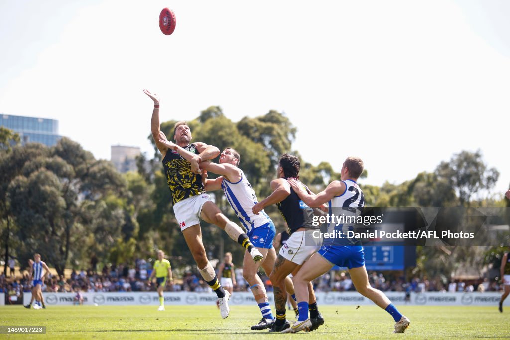 North Melbourne v Richmond - AFL Match Simulation