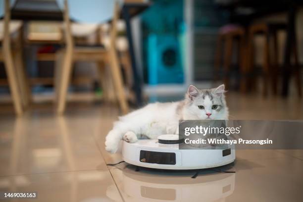 vacuum cleaner, - cat circle stock pictures, royalty-free photos & images