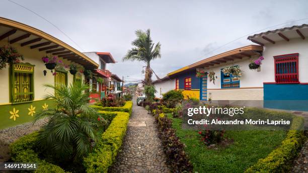 jerico, antioquia, colombia - april 5 2022: beautiful gardens with bushes and flowers in colonial street with colourful houses and palm tree in the background - antioquia stock pictures, royalty-free photos & images