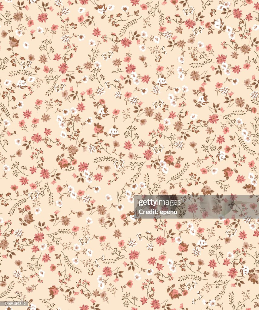 Seamless Pattern. Textile in Country Style. Design for Fabric