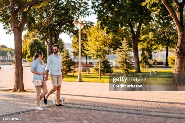 young couple walking their maltese dog in the park - dog walking stock pictures, royalty-free photos & images