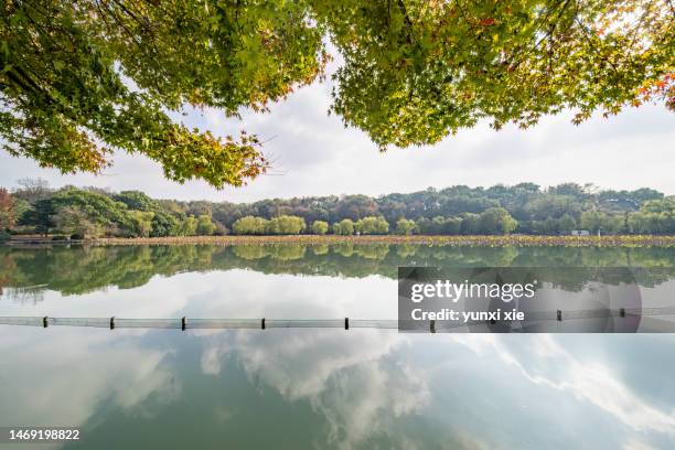 scenery of west lake in hangzhou, china. - west lake hangzhou 個照片及圖片檔