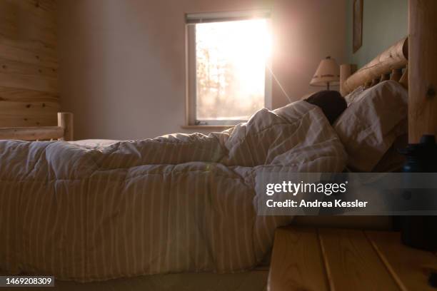 girl sleeping in a log bed at a cabin in the mountains with light streaming in the window. - boy asleep in bed bildbanksfoton och bilder