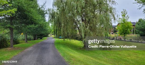 Tree and Brush Removal: Enhancing Your Knox County Landscape