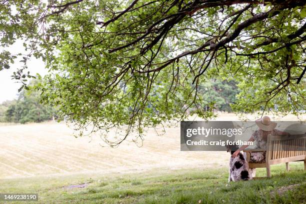 summer company. - ascot uk stock pictures, royalty-free photos & images