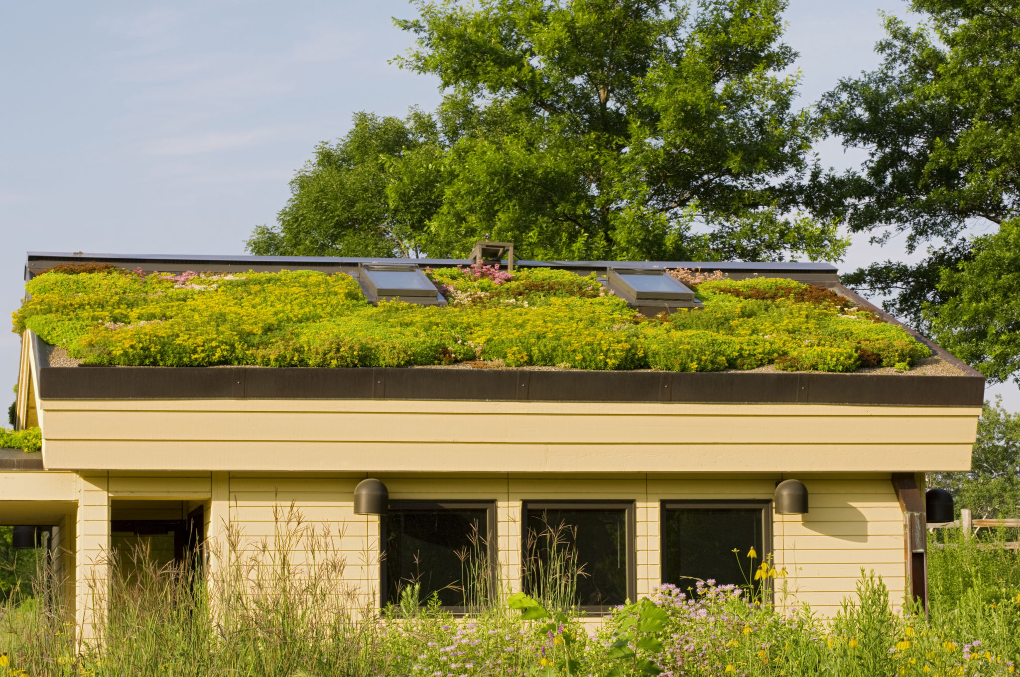 eco roof cost