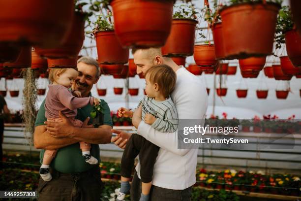 familie im gewächshaus - großvater vater sohn business stock-fotos und bilder