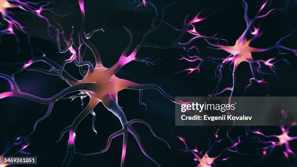 abstract 3d image of neural cells - nervous system stock pictures, royalty-free photos & images