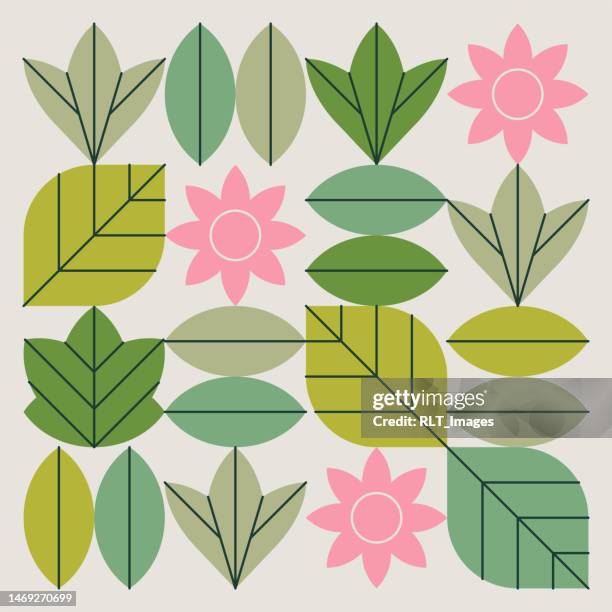 geometric springtime flower & leaf graphics - natural formation stock illustrations