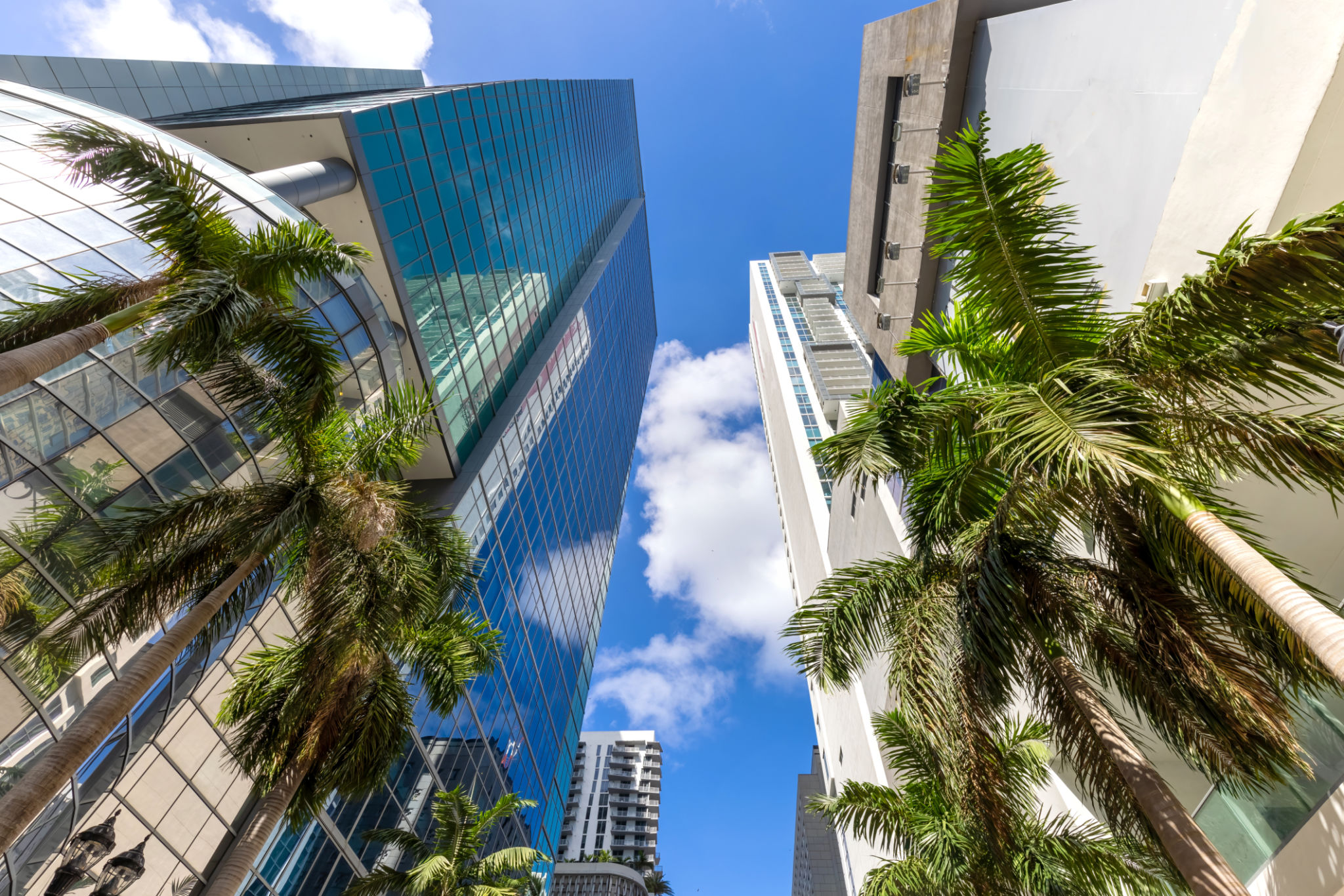 window tinting Miami