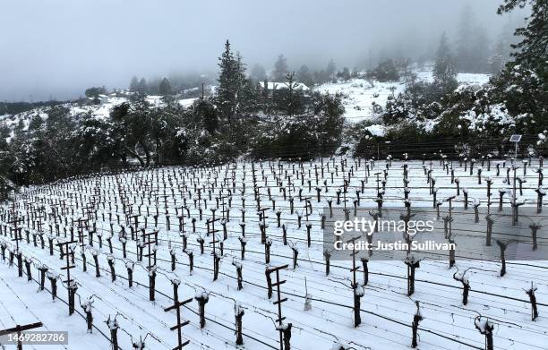 In an aerial view, snow covers a vineyard on February 24, 2023 in Angwin, California. A large winter storm brought snow to lower elevations overnight...