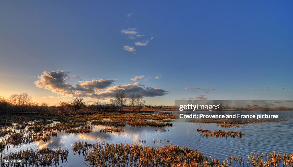 Marsh at Arles