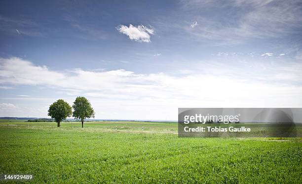 green grass field - tobias gaulke stock-fotos und bilder