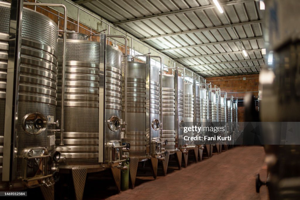 Wine steel barrels winery cellar