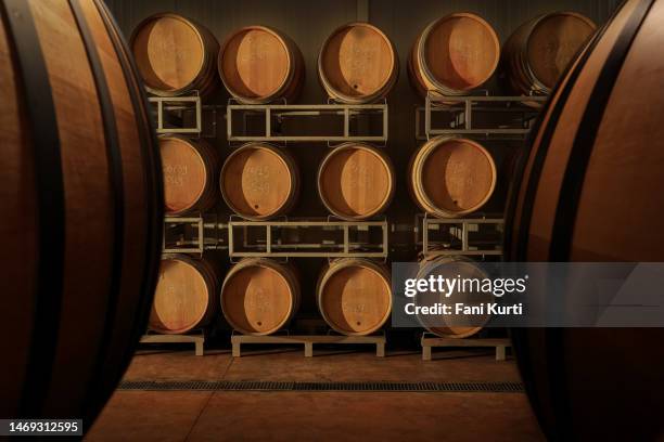 wine wooden barrels - beer cellar stock pictures, royalty-free photos & images