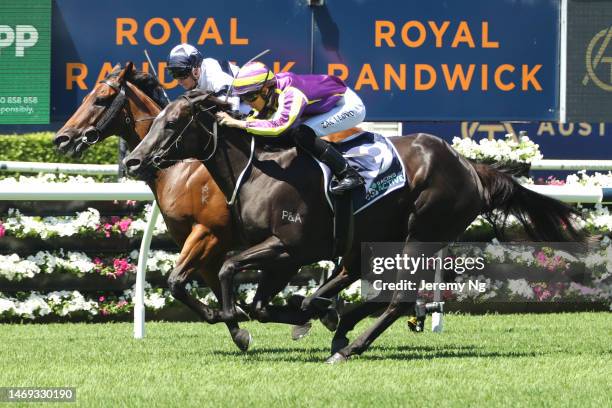 Dylan Gibbons riding Dalaalaat wins Race 1 Midway during TAB Chipping Norton Stakes Day - Sydney Racing at Royal Randwick Racecourse on February 25,...