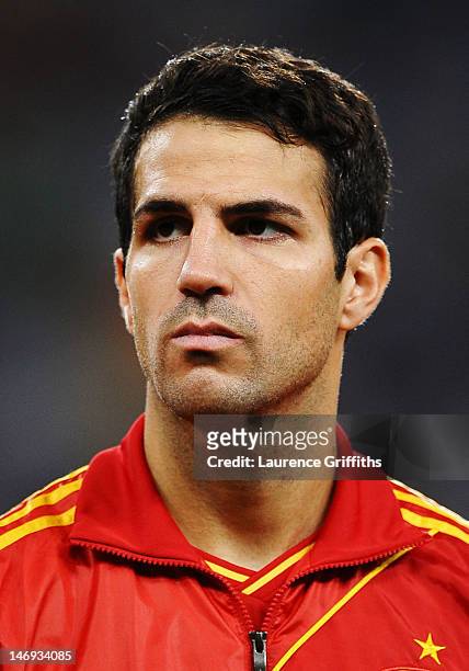 Cesc Fabregas of Spain looks on ahead of the UEFA EURO 2012 quarter final match between Spain and France at Donbass Arena on June 23, 2012 in...