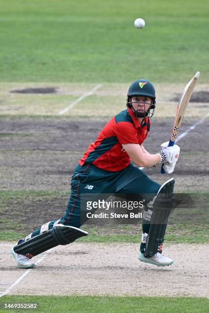 Elyse Villani of the Tigers bats during the WNCL Final match between Tasmania and South Australia at Blundstone Arena, on February 25 in Hobart,...
