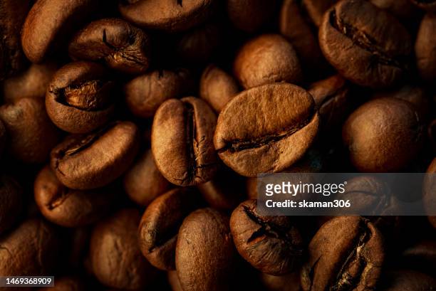 close up roasted coffee  beans with dramatic light and copy space - coffee crop foto e immagini stock