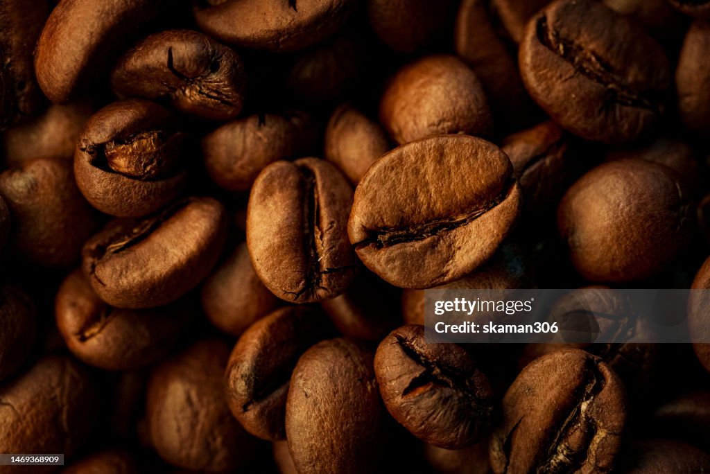 Close up Roasted Coffee beans with dramatic light and copy space