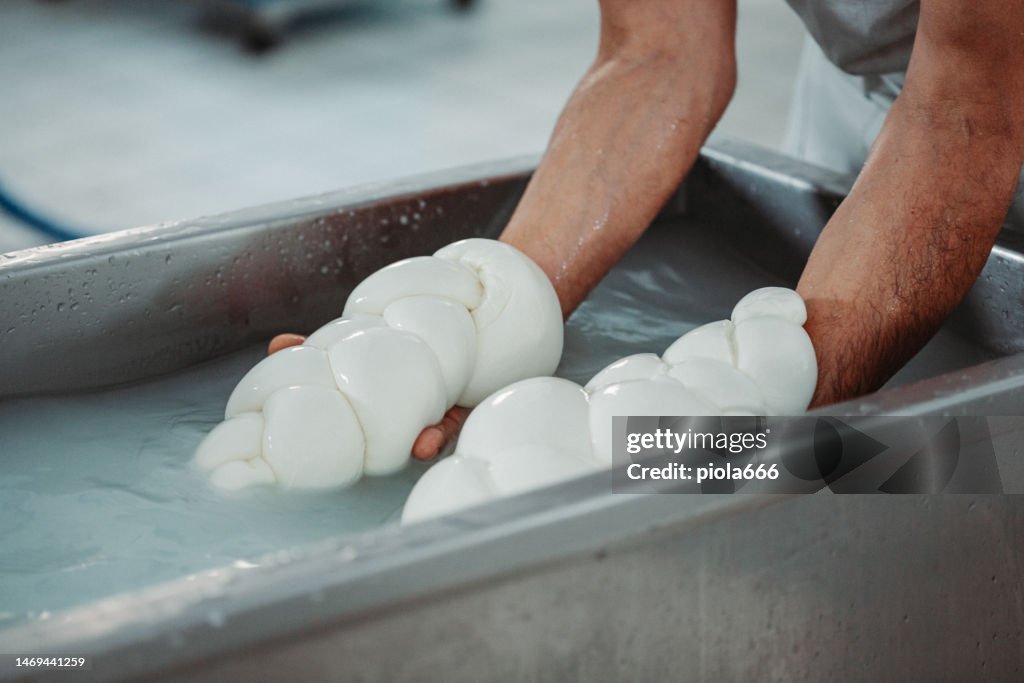 Producción de mozzarella Bufala en Italia