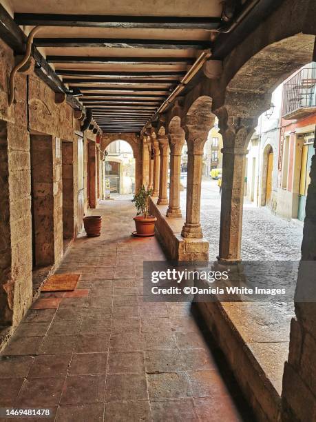 besalu, girona, spain - besalu stock pictures, royalty-free photos & images