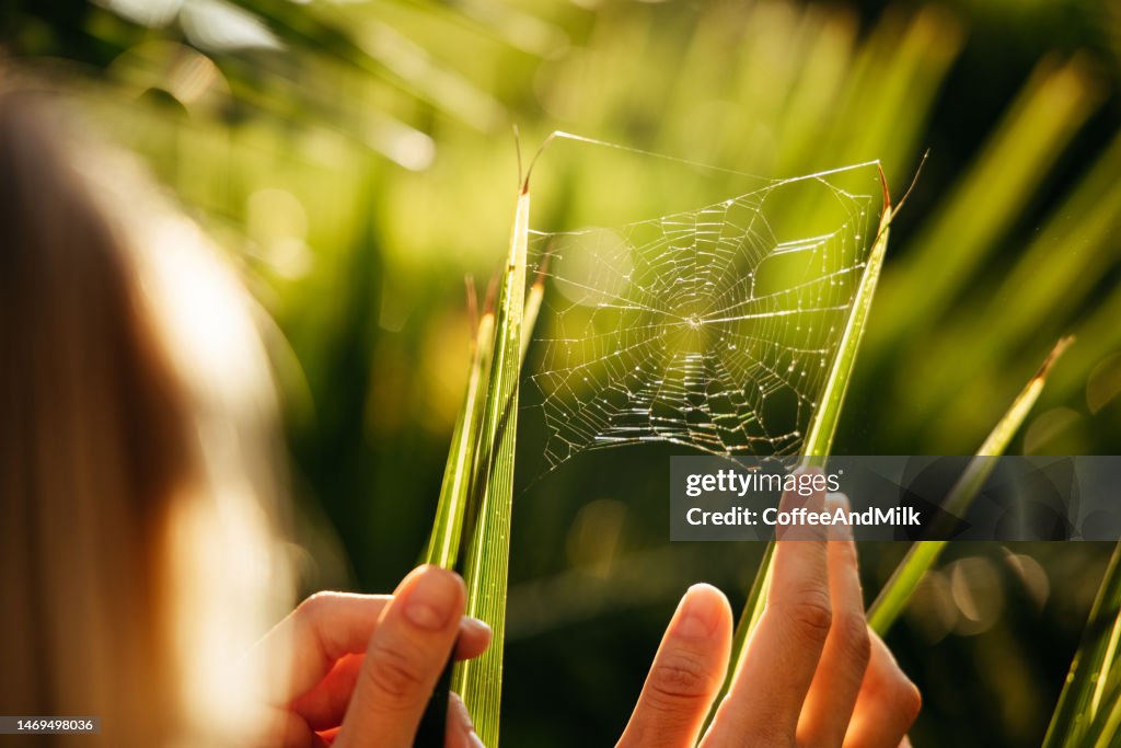 Woman's hands touching web