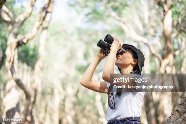 woman walking alone in the woods adventure in the woods with binoculars - bird watching stock pictures, royalty-free photos & images
