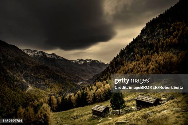 mountain hut on mountain meadow with autumnal mountain forest and threatening cloudy sky, martell valley, merano, vinschgau, south tyrol, italy - martell valley italy stock pictures, royalty-free photos & images