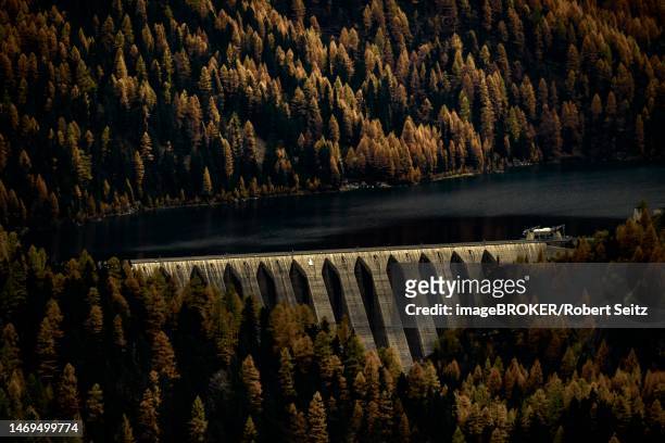 dam of the zufrittsee with autumnal mountain forest, martell valley, merano, vinschgau, south tyrol, italy - martell valley italy stock pictures, royalty-free photos & images