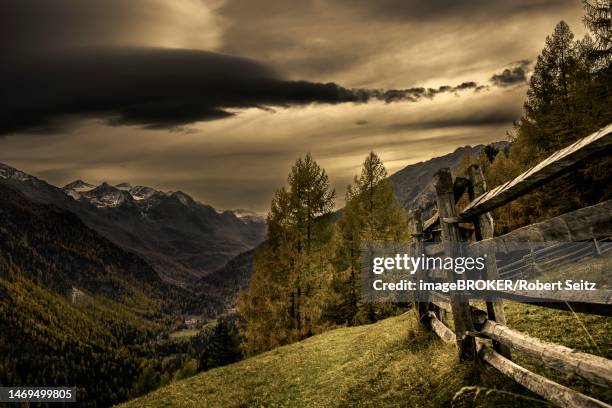 wooden fence with autumnal mountain forest and threatening cloudy sky, martell valley, merano, vinschgau, south tyrol, italy - martell valley italy - fotografias e filmes do acervo