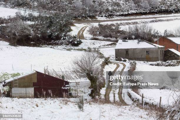 Snow-covered nature on February 24 in A Fonsagrada, Lugo, Galicia, Spain. The anticyclone and the squall over the peninsula have created a corridor...