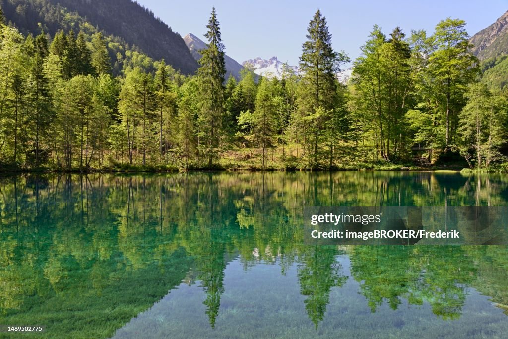 Mountain lake, Christlessee with clear turquoise water, Trettachtal near Oberstdorf, Allgaeu Alps, Allgaeu, Bavaria, Germany